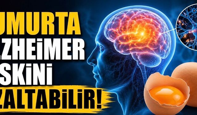 Yeni Araştırma: Yumurta Tüketenlerde Alzheimer Riski Daha Düşük