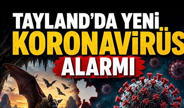 Tayland’da Yarasalarda Yeni Koronavirüs Tespit Edildi: Uzmanlardan “Panik Yok, Takip Şart” Uyarısı