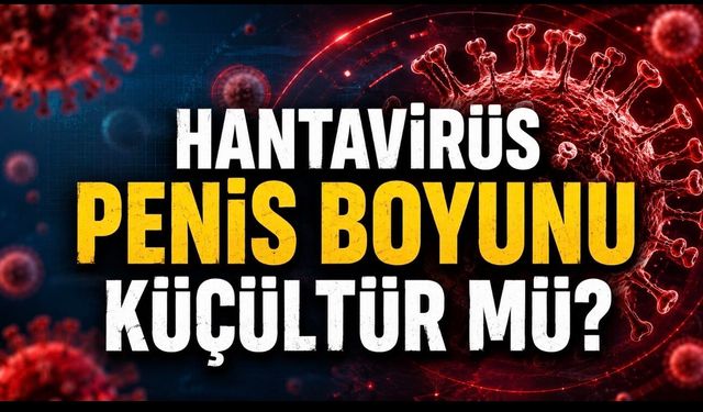 Hantavirüs Penis Boyunu Küçültür mü? Sosyal Medyadaki İddia Ne Kadar Doğru?