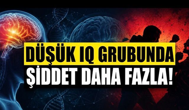 Araştırma: Düşük IQ Grubunda Şiddet Daha Fazla