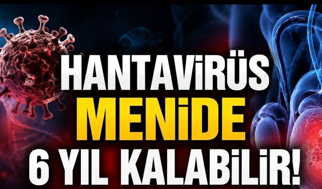 Hantavirüs İçin Yeni Uyarı: Virüs Menide Yıllarca Kalabilir