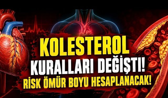 Dünyada Kolesterol Kılavuzu Değişiyor: Risk Artık Sadece Bugüne Göre Değil, Ömür Boyu Hesaplanacak