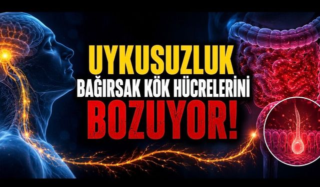 Uykusuzluk Bağırsakları da Vuruyor: Yeni Araştırma Şaşırtan Mekanizmayı Ortaya Koydu