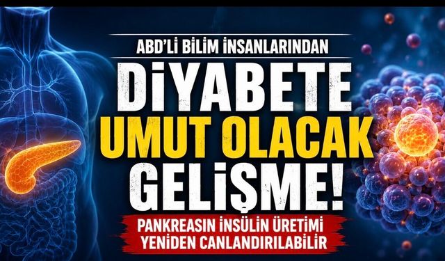 Bilim İnsanları Pankreasın İnsülin Üretimini Yeniden Canlandırabilecek Bir Yöntem Geliştirdi