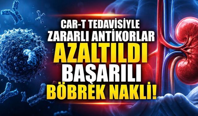 CAR-T Tedavisi Böbrek Naklinde Yeni Bir Kapı Araladı