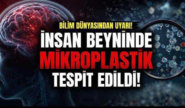 İnsan beyninde mikroplastik alarmı: Demans hastalarında daha yüksek seviyeler bulundu