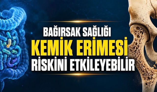 Liften Zengin Beslenme Kemik Sağlığını Güçlendirebilir