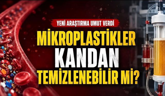 Mikroplastikler Kandan Temizlenebilir mi? Yeni Çalışma Umut Verdi