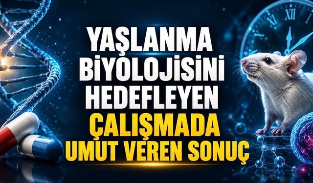 Yaşlanma Sürecini Hedefleyen Çalışmada Umut Veren Bulgular