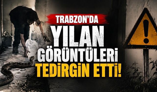 Trabzon’da Artan Yılan Görüntüleri Tedirginlik Yarattı: Uzmanlar Nedeni Açıkladı