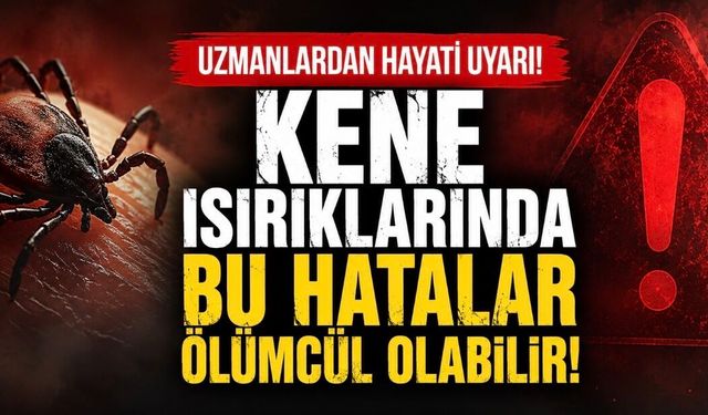 Kene Isırığında İlk Dakikalar Hayati: Yanlış Müdahale KKKA Riskini Artırabilir