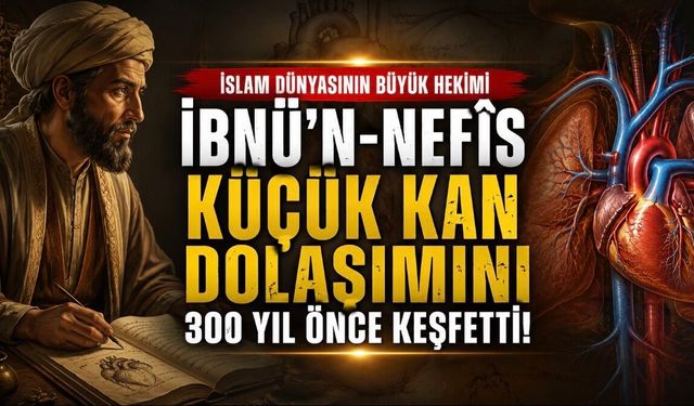 İbnü’n-Nefîs Kimdir? Küçük Kan Dolaşımını 300 Yıl Önce Keşfeden Büyük İslam Hekimi