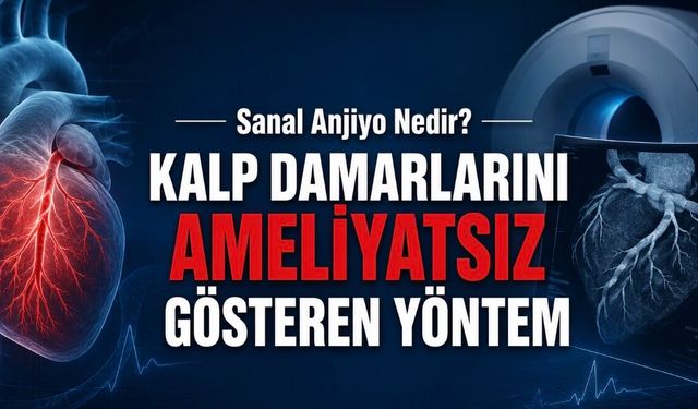 Sanal Anjiyo Nedir? Kalp Damarlarını Ameliyatsız Gösteren Yöntem
