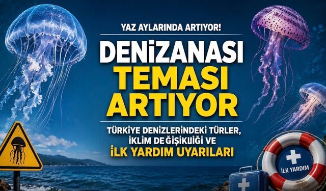 Yaz Aylarında Denizanası Teması Artıyor: Uzmanlardan İlk Yardım ve Korunma Uyarıları