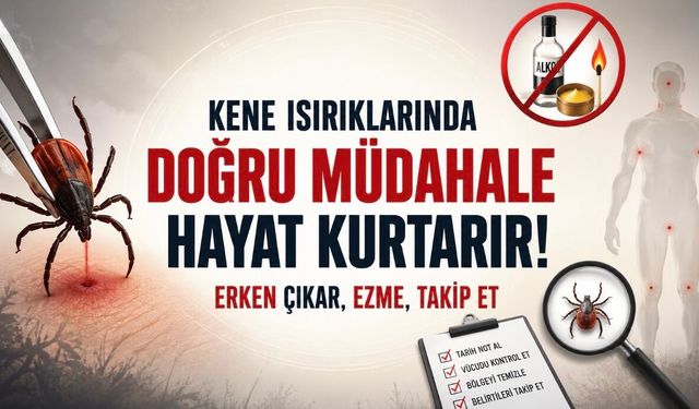 Kene ısırığında doğru bilinen yanlışlar: Kolonya ve yakma riski artırıyor
