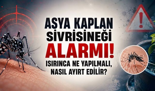 Asya Kaplan Sivrisineği Alarmı: Isırınca Ne Yapılmalı, Nasıl Ayırt Edilir?