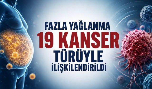 Fazla yağlanma en az 19 kanser türüyle ilişkilendirildi