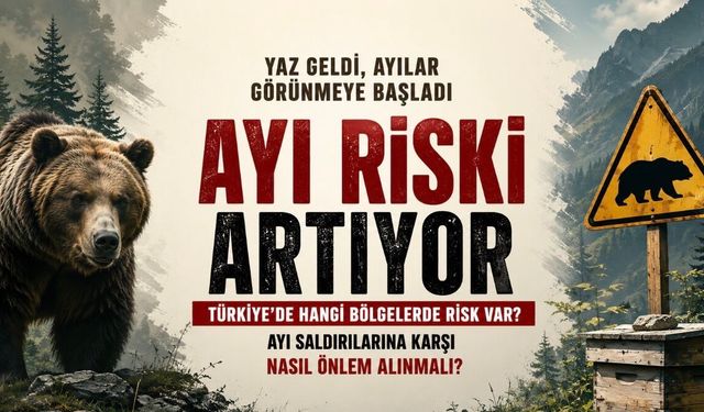 Yaz Geldi, Ayılar Görünmeye Başladı: Hangi Bölgelerde Risk Daha Yüksek?