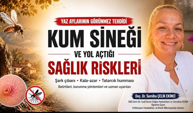 Yaz Aylarının Görünmez Tehdidi: Kum Sineği ve Yol Açtığı Sağlık Riskleri
