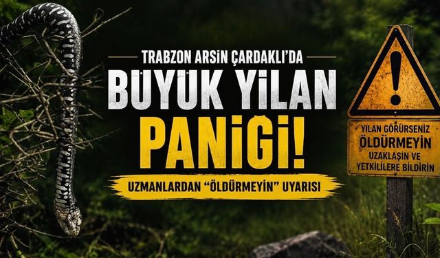 Arsin Çardaklı’da Büyük Yılan Paniği: Uzmanlardan “Öldürmeyin” Uyarısı