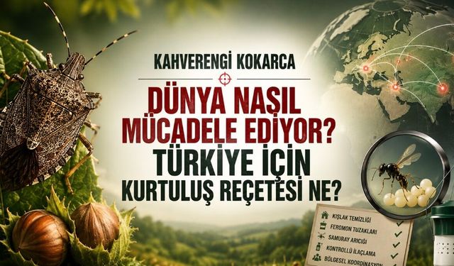 Kahverengi Kokarca ile Dünya Nasıl Mücadele Ediyor? Türkiye İçin Kurtuluş Reçetesi Ne?