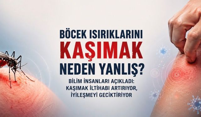 Kaşımak Rahatlatıyor Ama İyileştirmiyor: Böcek Isırıklarında Yapılan Bu Hata Sorunu Büyütebilir