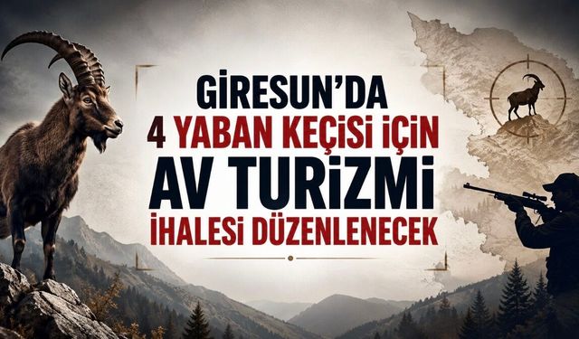 Giresun’da 4 Yaban Keçisi İçin Vicdanları Yaralayan Karar