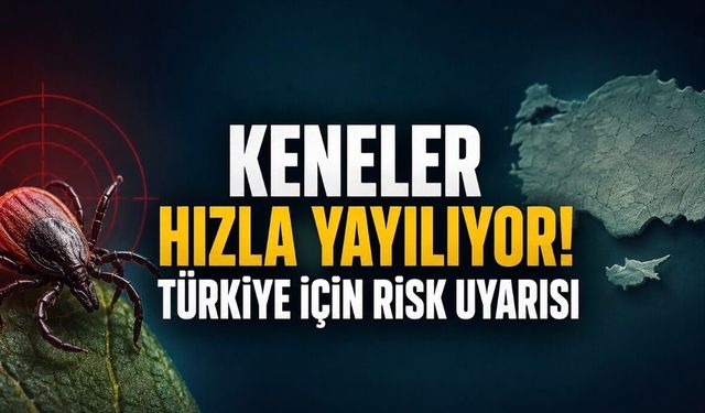 Keneler Hızla Yayılıyor: Türkiye İçin de Risk Uyarısı