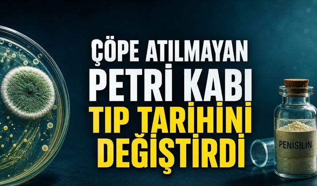 Çöpe Atılmayan Petri Kabı Tıbbın Kaderini Değiştirdi