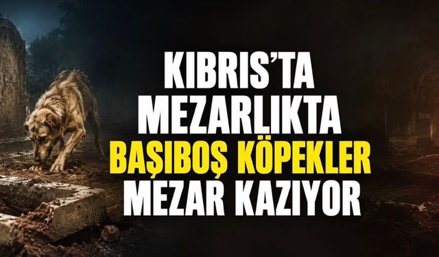 Kıbrıs’ta Mezarlıkta Şoke Eden Görüntü: “Mezarları Kazıyorlar”