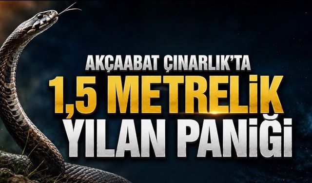 Akçaabat’ta 1,5 Metrelik Yılan Paniği