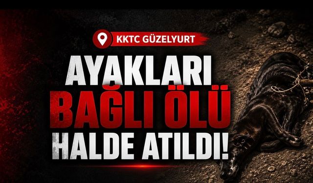 KKTC Güzelyurt’ta Arka Ayakları Bağlı Ölü Köpek Bulundu