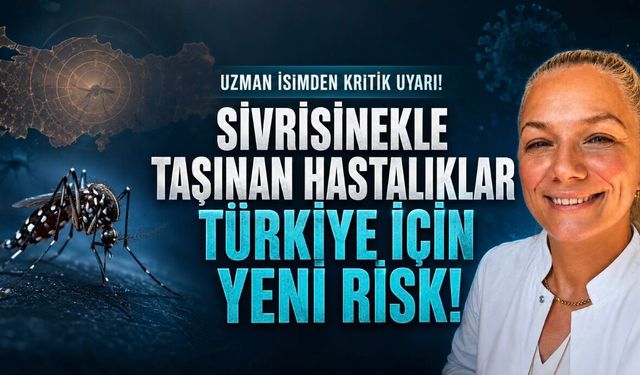 Doç. Dr. Semiha Çelik Ekinci Uyardı: Sivrisineklerle Taşınan Hastalıklarda Türkiye İçin Yeni Risk