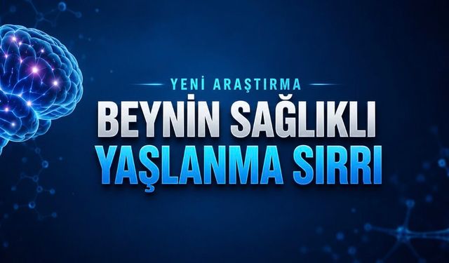 Egzersiz Beyni Yaşlanmaya Karşı Nasıl Koruyor? Yeni Araştırma Mekanizmayı Açıkladı