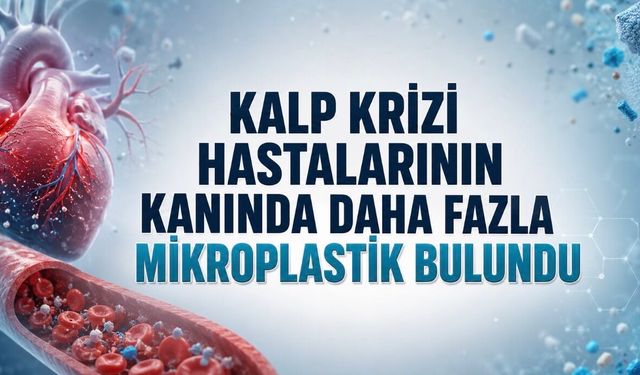 Kalp Krizi Geçiren Hastaların Kanında Mikroplastik Oranı Daha Yüksek Bulundu