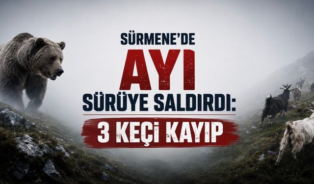 Sürmene’de Ayı Saldırısı: 3 Keçi Kayıp