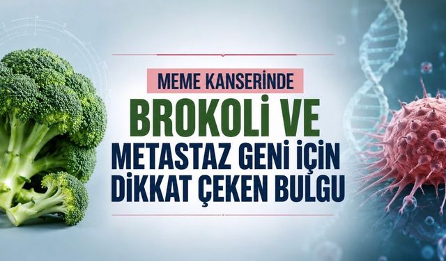 Meme Kanserinde Brokoli ve Metastaz Geni İçin Dikkat Çeken Bulgu