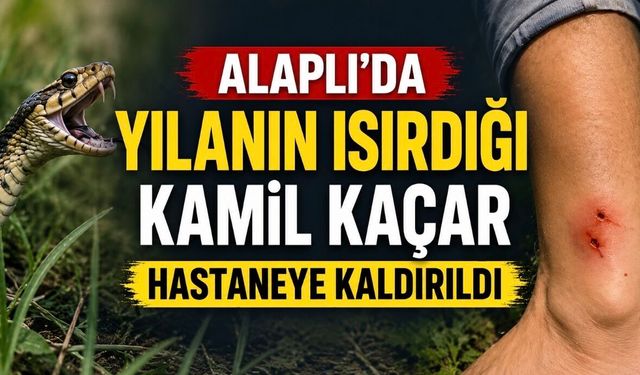 Alaplı’da Yılan Saldırısı: Kamil Kaçar Hastaneye Kaldırıldı