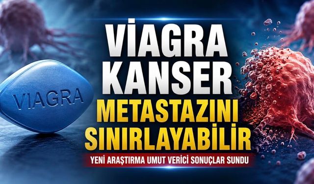 Viagra ve Statin Birlikteliği Metastaza Karşı Umut Verdi