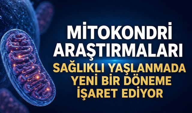 Mitokondri Araştırmaları Sağlıklı Yaşlanmada Yeni Bir Döneme İşaret Ediyor