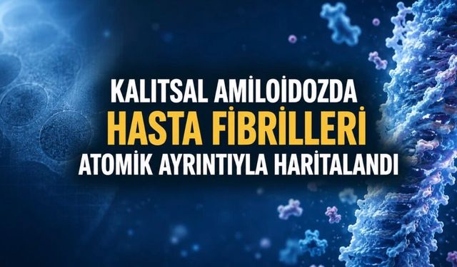 Kalıtsal Transtiretin Amiloidozunda Hastalardan Alınan Fibriller Atomik Ayrıntıyla Haritalandı