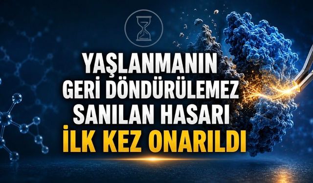 Yaşlanmanın Geri Döndürülemez Sanılan Hasarı İlk Kez Onarıldı