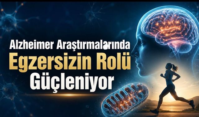 Alzheimer Araştırmalarında Egzersizin Rolü Güçleniyor