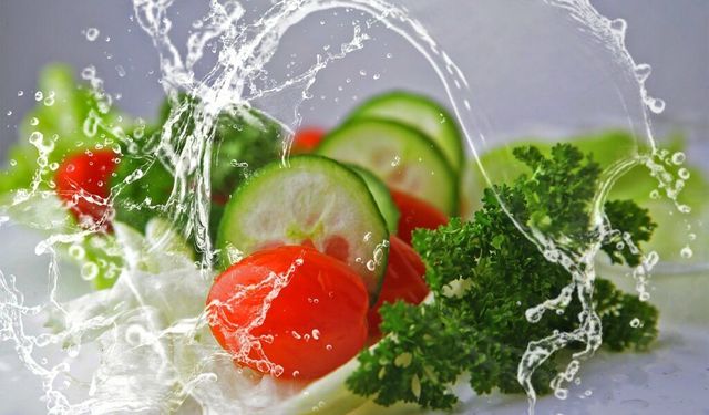 Besinlerle alınan su vücudu nasıl destekliyor?