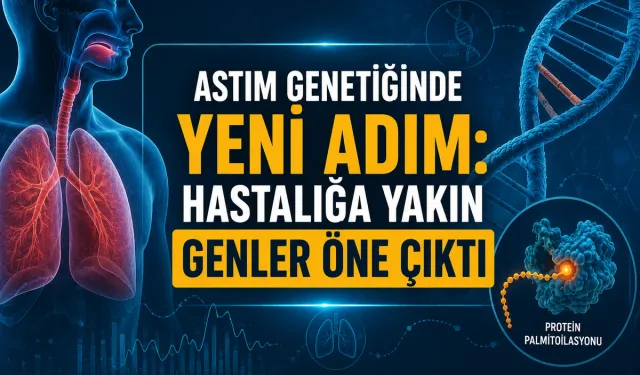 Astım Genetiğinde Yeni Adım: Hastalığı Yönlendirebilecek Genler Öne Çıktı