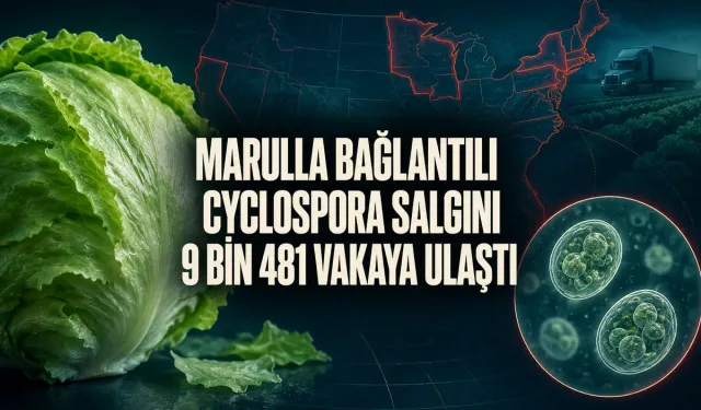 Marul ile Bağlantılı Cyclospora Salgını 9 Bin 481 Vakaya Ulaştı