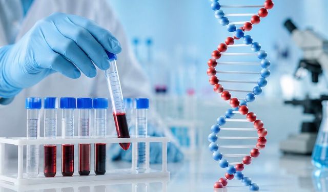 HDL Kolesterol Nedir? Kan Tahlilinde HDL Kolesterol Yüksekliği ve Düşüklüğü Neyi Gösterir?