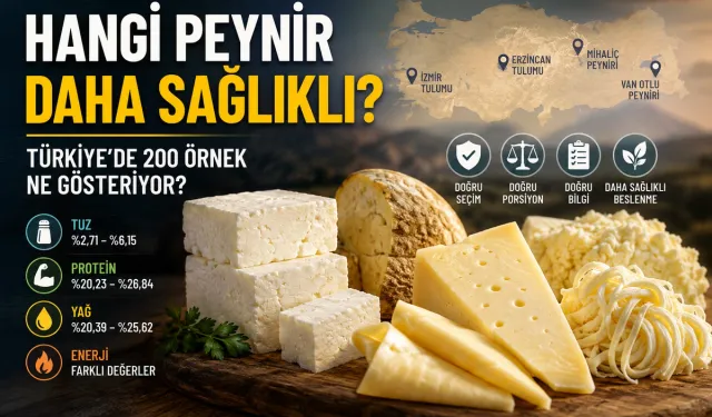 Hangi Peynir Daha Sağlıklı? Türkiye’de 200 Örnek Ne Gösteriyor?