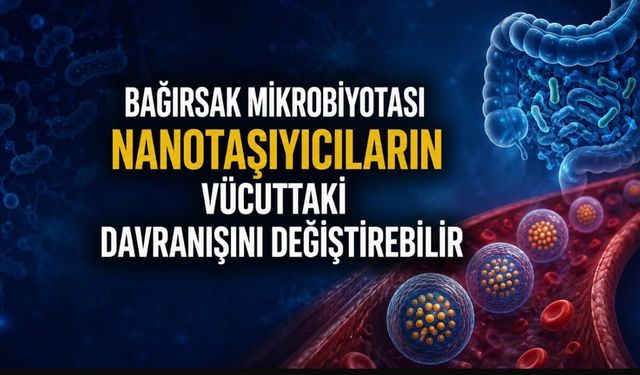 Bağırsak Mikrobiyotası Nanotaşıyıcıların Vücuttaki Davranışını Değiştirebilir