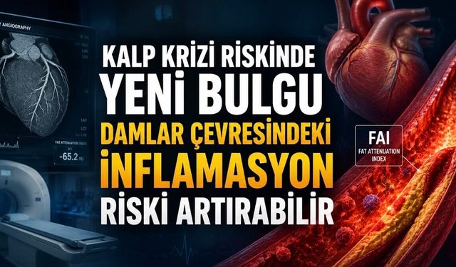 Araştırma: Koroner BT Anjiyografide Yeni Dönem mi? Büyük Çalışma Darlık Kadar Plak ve İnflamasyonun da Önemini Gösterdi